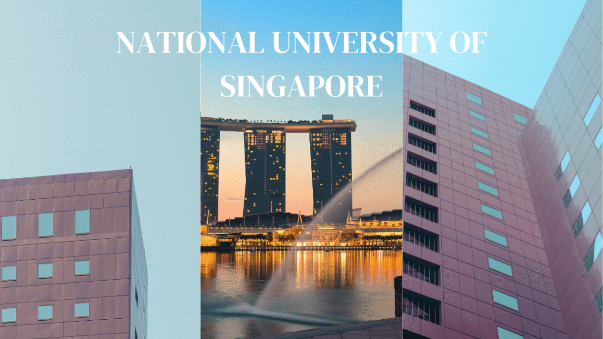 National University of Singapore