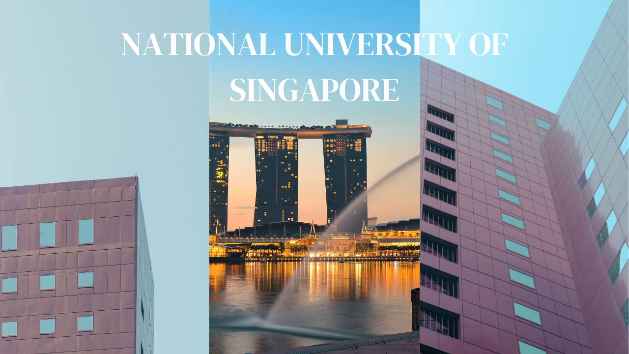 National University of Singapore