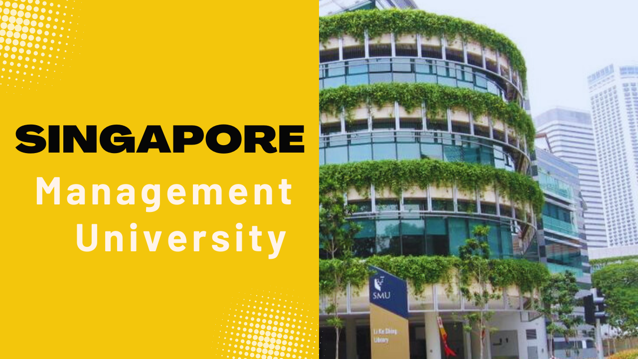 Singapore universities and study abroad opportunities